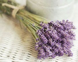 ペ★♫つ沐渃溪主播照片