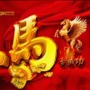 王哥cb