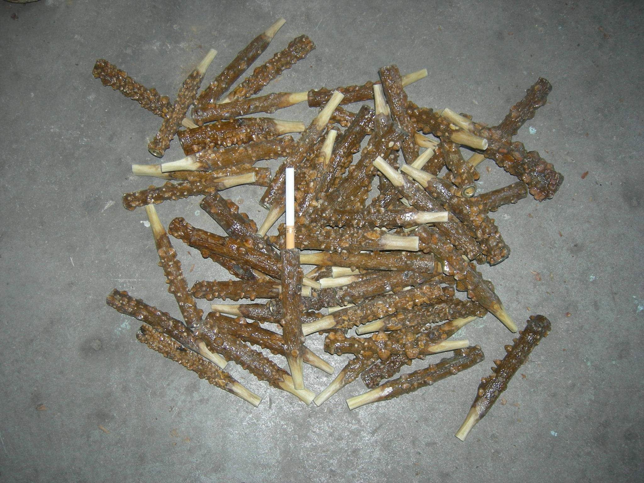 艺博轩的主播照片
