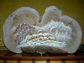 艺博轩主播照片