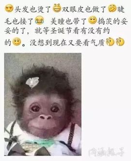 小鱼儿小白鲨主播照片