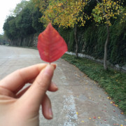 天长地久终有时