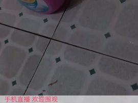 钟声里的思索：主播照片