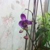 湜倳~芣潅笣