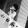 如果我能看懂你
