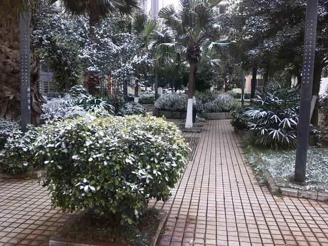 三迤仕子的主播照片