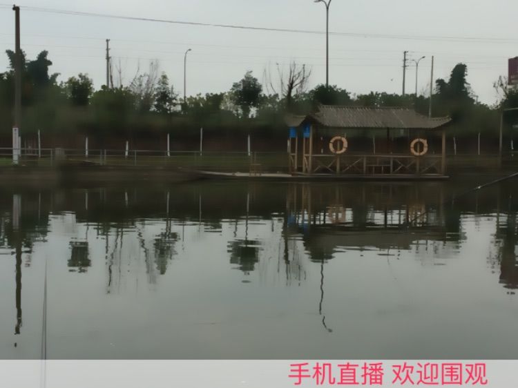 🀄️请叫我帅哥的主播照片