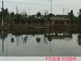 🀄️请叫我帅哥主播照片