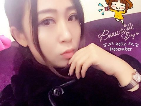 小美金桐海报