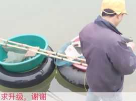 💦小鹰💦主播照片