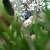小心！蝎子侑。。毒