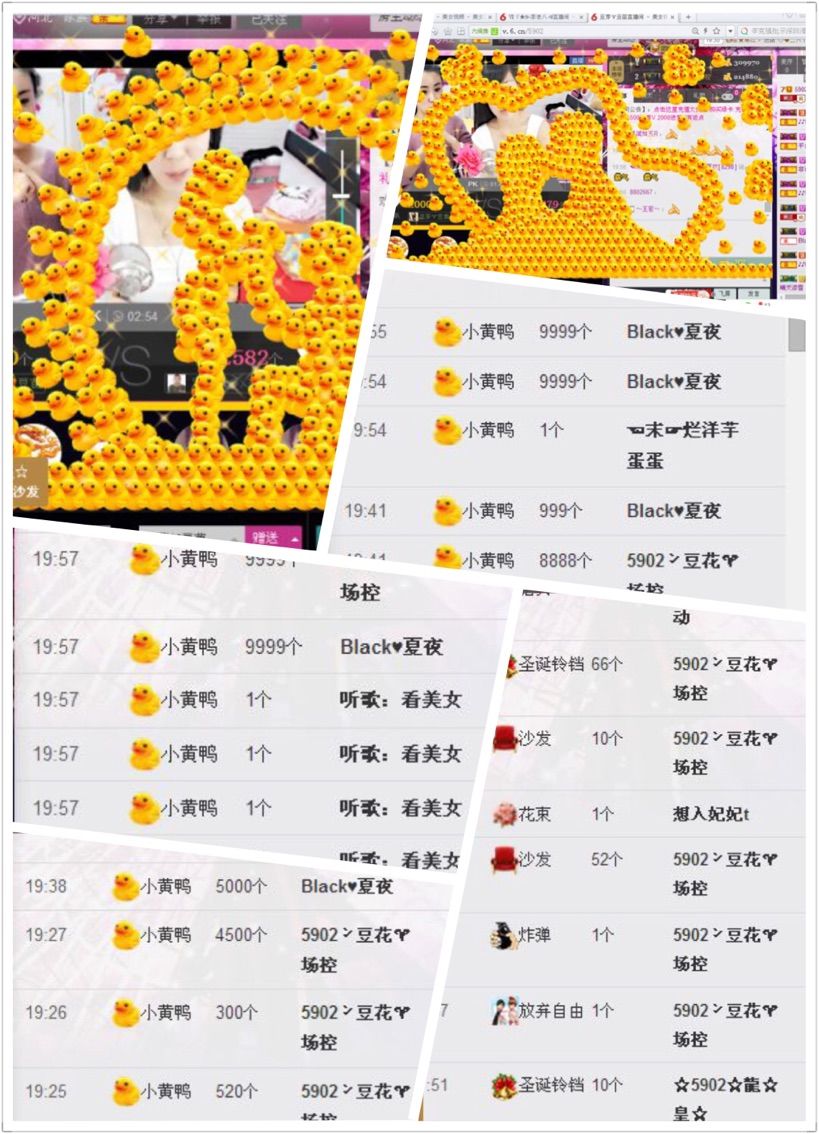 豆芽♈豆苗的主播照片