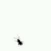 嗯哼海报
