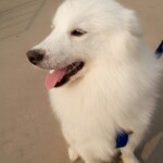 昵称违规，请重新修改的头像