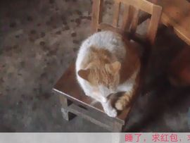😱……主播照片