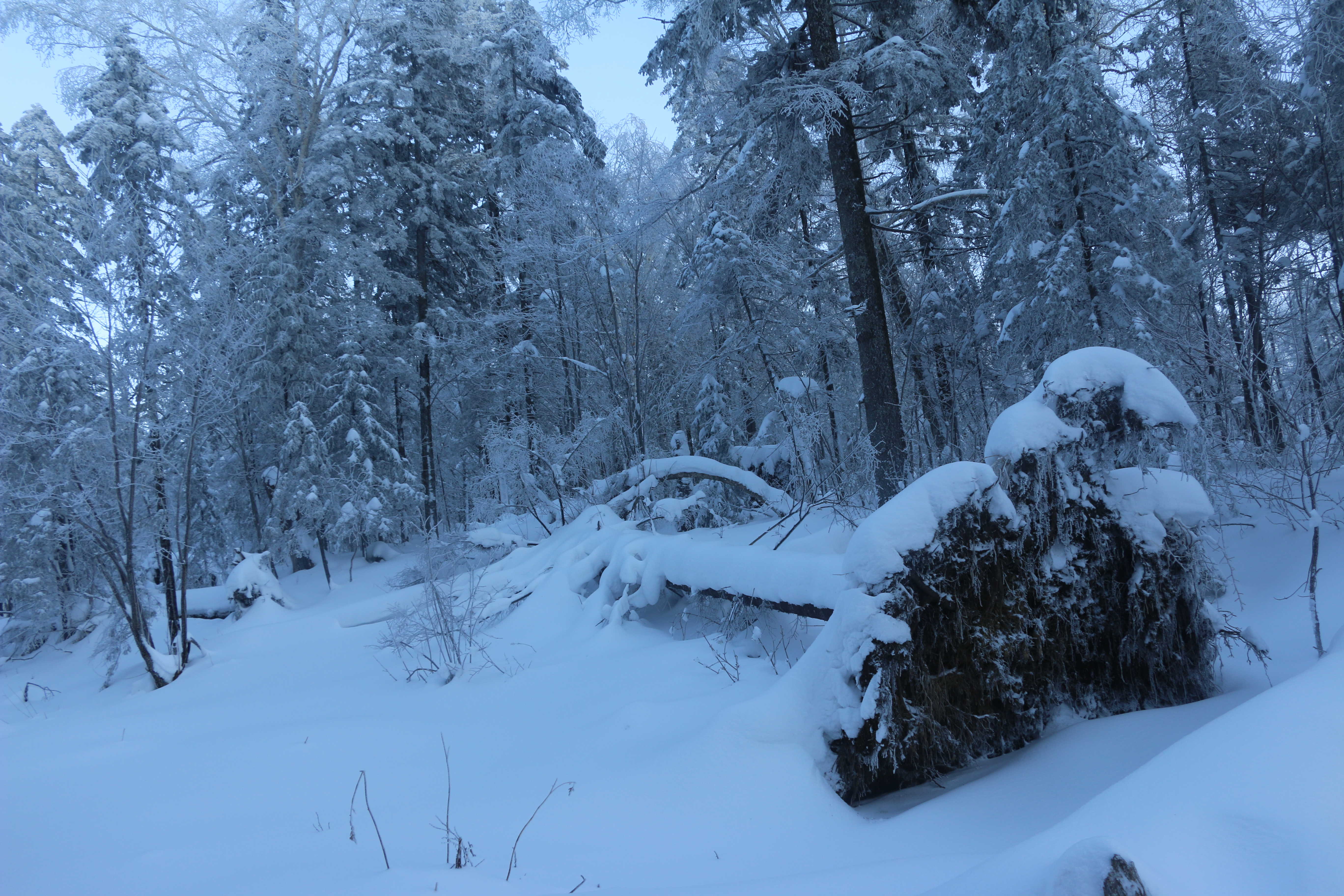 alaxbb的主播照片
