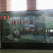 遇和等待幸福