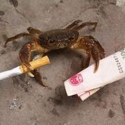 肩扛大刀灭土豪