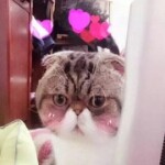 桐原亮司@
