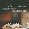 倾一座城、淡一场梦2