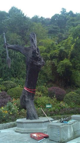 ♫天使じ♪开心果主播照片