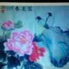 蒙蒙z