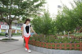 舞~魅娘、、主播照片