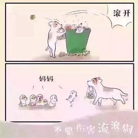 鹿哈哈baby主播照片