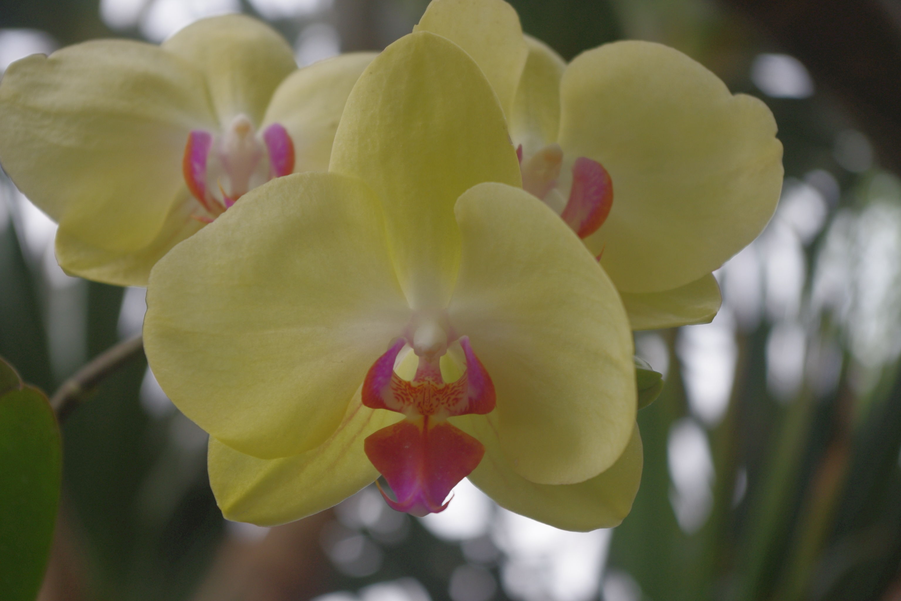 ♬草盖木╰☆的图片