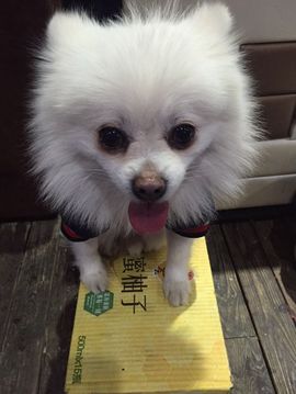 ╰❐╬➷银仙侃三千主播照片
