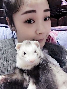靠实力把自己养胖主播照片
