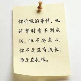 .666主播照片