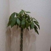 微信_2492468