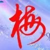 梅5$