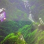 翼装侠