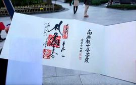 習慣有妮主播照片