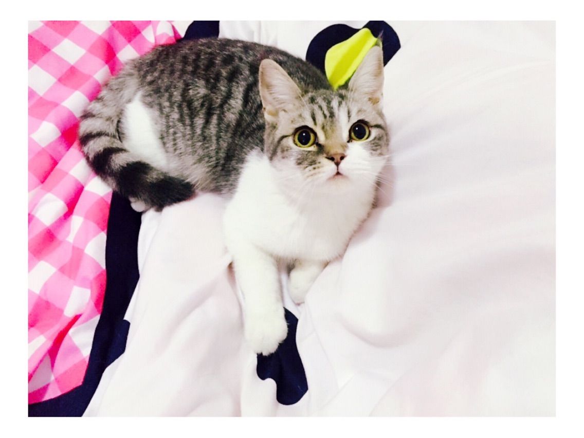 小闪电✦的主播照片
