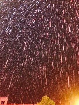 🌸傲雪寒梅🌸️主播照片