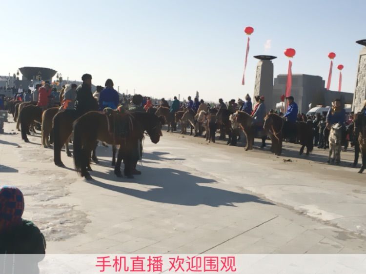 秋高氣爽.的主播照片