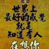 可爱鸟
