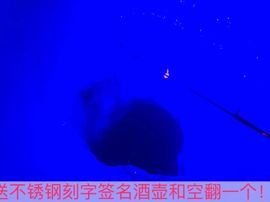 泓一户外主播照片