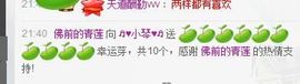 云南十日游主播照片