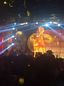 ：IM丶志哥主播照片