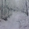 小雨1111海报