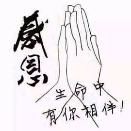 六道枫主播照片