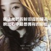 仪宝儿海报