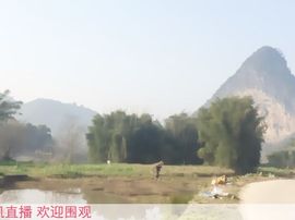 ~八月~主播照片