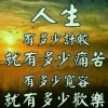 不走的风海报