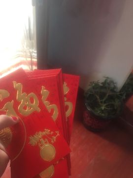 倩宝么么哒主播照片