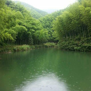 微信_3635312的头像
